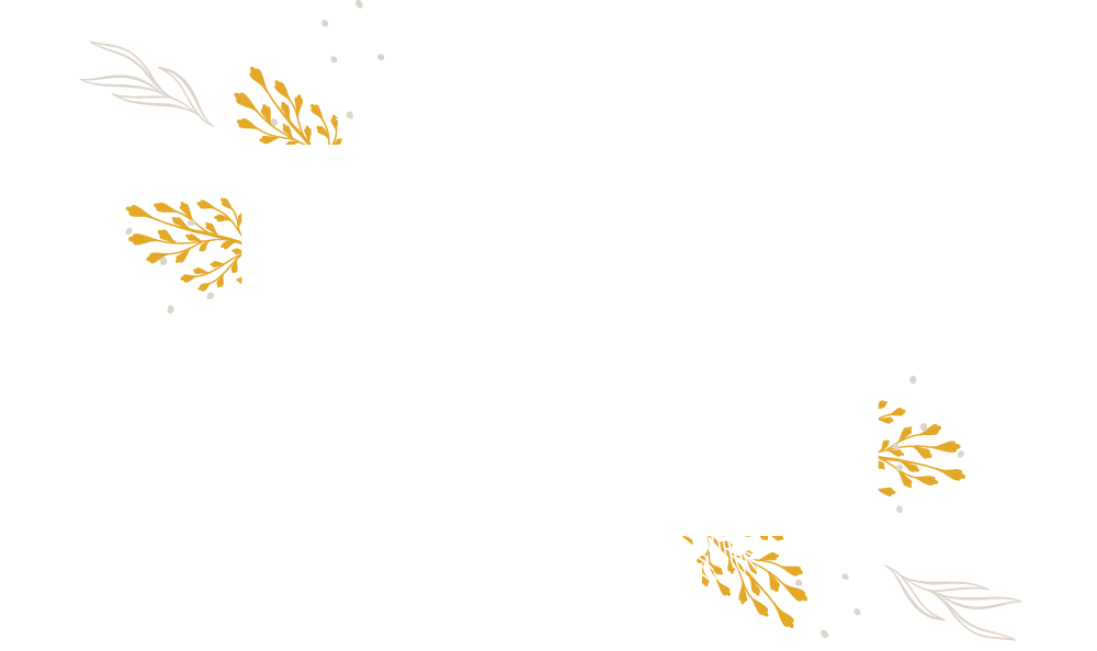 logo Deep and Wide