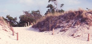 beach path